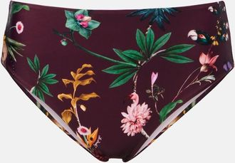 La DoubleJ Boy Brief printed bikini bottoms