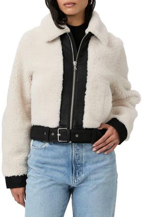 Paige Rhone Genuine Shearling & Suede Jacket in Ecru/Black at Nordstrom, Size Medium