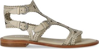 Ash SANDALO FLAT PAPRIKA TALCO ASH