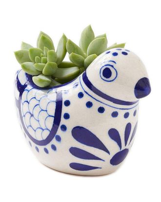 Matr Boomie Matr Boomie Lalita Bird Succulent Planter