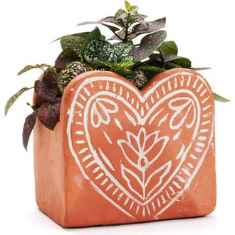 Matr Boomie Vasanta Heart Planter with Drainage in Terracotta at Nordstrom