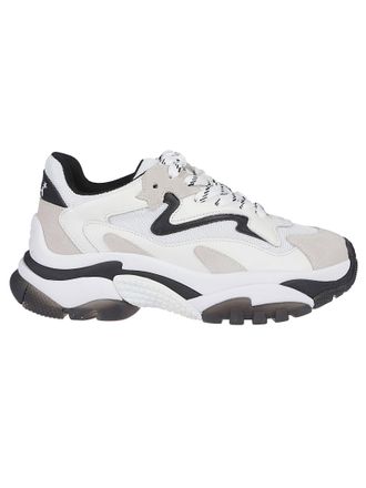 スニーカー ASH Women Sneakers 413665 ADDICT03 Beige Ash Addict03 Beige/White | Low-Top Sneakers