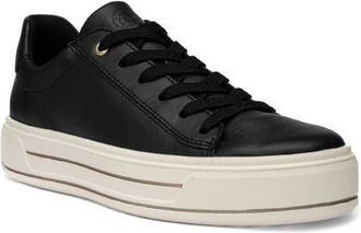 Ara Carol Sneaker in Black 1 at Nordstrom, Size 10.5