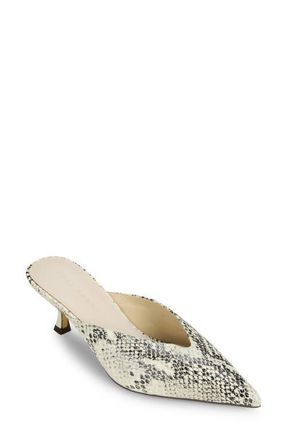 Yosi Samra Remi Pointed Toe Kitten Heel Mule in Snake at Nordstrom, Size 10