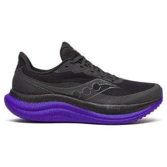 Saucony Triumph 23 GTX Runningschuhe f&uuml;r Herren | grau