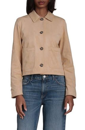 Bagatelle Faux Suede Jacket in Driftwood at Nordstrom, Size X-Large