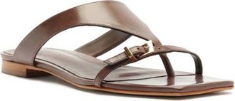 Schutz Tana Flat Flip-Flop in Root Brown at Nordstrom, Size 6.5