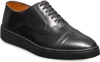 Allen Edmonds Park 2.0 Sneaker in Black/Black at Nordstrom, Size 10.5