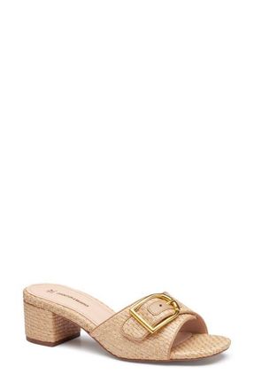 Johnston & Murphy Edith Buckle Slide Sandal in Natural Raffia at Nordstrom, Size 6.5