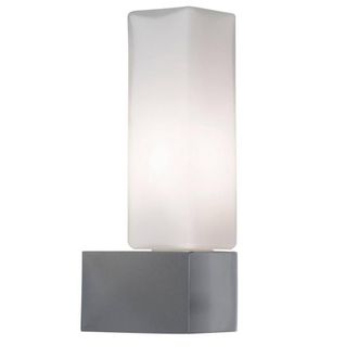 Netlighting Outdoor Modern Wall Light Chrome IP44 in Grey