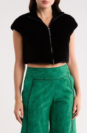 Longchamp Crop Velvet Blouson Jacket in Black at Nordstrom Rack, Size 8 Us / 40 Fr