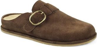 National Comfort Buckle Strap Clog in Taupe Suede at Nordstrom, Size 10