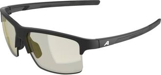 Alpina Eagle Q-Lite S1 Sonnenbrille - Unisex | grau