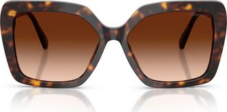 Swarovski 57mm Butterfly Sunglasses in Havana /Gradient Brown at Nordstrom