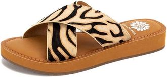 Yellow Box Womens Ansila Sandal In Zebra