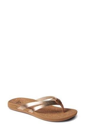 Reef Pacific Joy Flip Flop Sandal in Golden Hour at Nordstrom Rack, Size 10