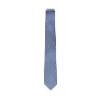 Ferragamo Ties, male, Blue, Size: ONE SIZE Tie