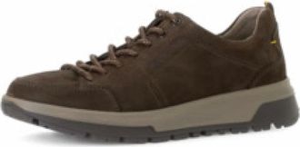 Gabor Heren, Schoenen, Bruin, Maat: 43 1/2 EU