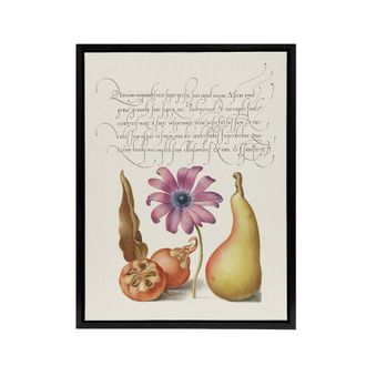 Artery8 Medlar Poppy Anemone & Pear Calligraphy Framed Canvas Wall Art Print in White | Size: W24 x H32