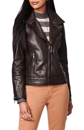 Bernardo Leather Moto Jacket in Chocolate Chip at Nordstrom, Size Large