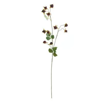 Napa Home & Garden Wild Blackberry Artificial Stem 31 at Nordstrom