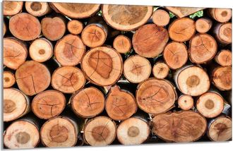 OEM Placa De Protecci&oacute;n De Estufa De Vidrio 80x52 Le&ntilde;a