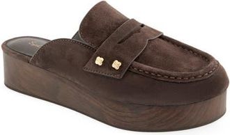 Splendid Quintana Platform Clog in Spice at Nordstrom, Size 11