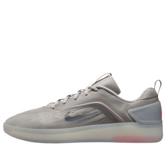Nike SB Zoom Nyjah 4 College Grey Light Silver FQ1273-001