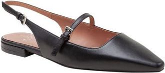 Linea Paolo Celeste Slingback Pointed Toe Flat in Black at Nordstrom, Size 4.5