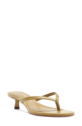 Schutz Carolyn Kitten Heel Sandal in Ecru Olive at Nordstrom, Size 9.5