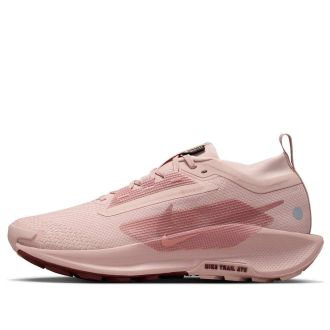 Nike (WMNS) Nike Pegasus Trail 5 GTX Pink Oxford FQ0912-601