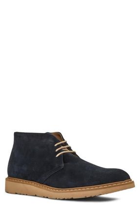 Aquatalia Duke Chukka Boot in Navy Suede at Nordstrom, Size 11.5