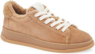 Stuart Weitzman Ellis Genuine Shearling Lined Sneaker in New Camel at Nordstrom, Size 10.5