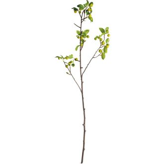 Napa Home & Garden Crabapple Green Plastic Branches 45 Set of 2 at Nordstrom