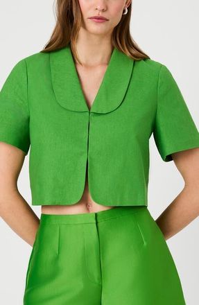 French Connection Theo Oversize Peter Pan Collar Crop Top in Botanica Green at Nordstrom, Size 12