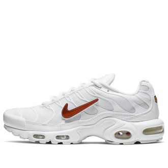 Nike Air Max Plus Removable Swoosh CJ9696-100