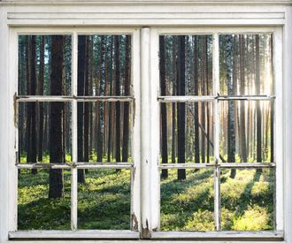 Queence Wandsticker »Wald« Wandsticker, Wandbild, selbstklebend, 3D, Fenster