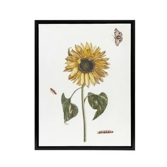 Artery8 Sunflower Caterpillar & Two Butterflies Teyler Framed Canvas Art in White | Size: W24 x H32