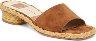 Dolce Vita Dixi Slide Sandal in Brown Suede at Nordstrom, Size 7.5