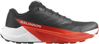 Salomon Pulsar Trailrunningschuhe für Herren | grau