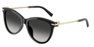 Tiffany & Co. TF4258BU 80013C Womens Sunglasses Black Size 57