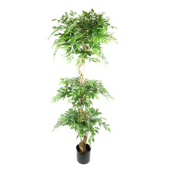Leaf 180cm Artificial Twisted Trunk Fruticosa Ficus Tree Triple Ball Topiary 1984 Leaves in Green