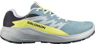 Salomon Alphaglide GORE-TEX Trailrunningschuhe f&uuml;r Herren | grau