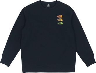 The North Face Logo Grpahic Sweater Black NF0A7W88-JK3