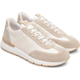 Nero Giardini Low Top Sneaker in Beige/Taupe at Nordstrom, Size 10-10.5Us