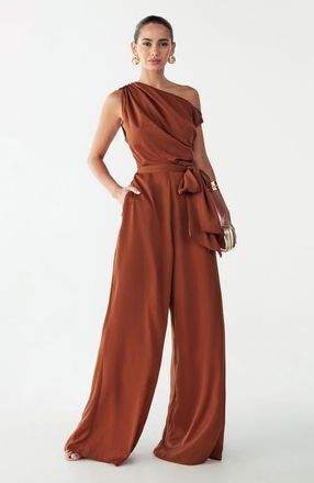 Willa Sky Jumpsuit in Spice at Nordstrom, Size 2