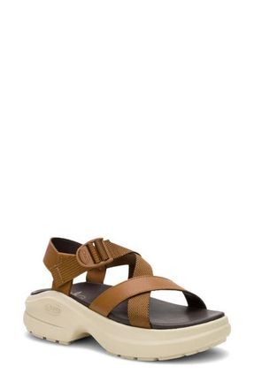 Chaco Cushform Sport Sandal in Cabin at Nordstrom, Size 12