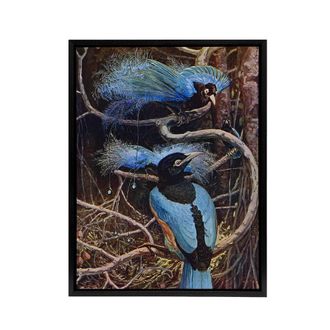 Artery8 Blue Bird of Paradise Sir Henry Johnston Framed Canvas Wall Art in Brown | Size: W24 x H32
