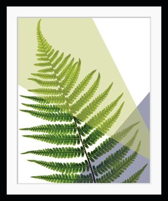 Queence Bild »Fahn« Blätter Kunst Pflanzen Pflanzenbilder HD Premium Poster-Druck inkl. Holzrahmen