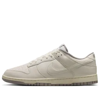 Nike Dunk Low Retro Soft Pearl College Grey HF5441-010
